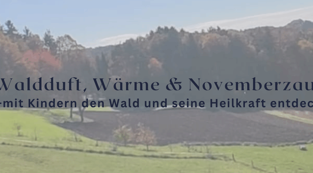 Waldduft, Wärme & Novemberzauber – Mit Kindern den Wald und seine Heilkraft entdecken
